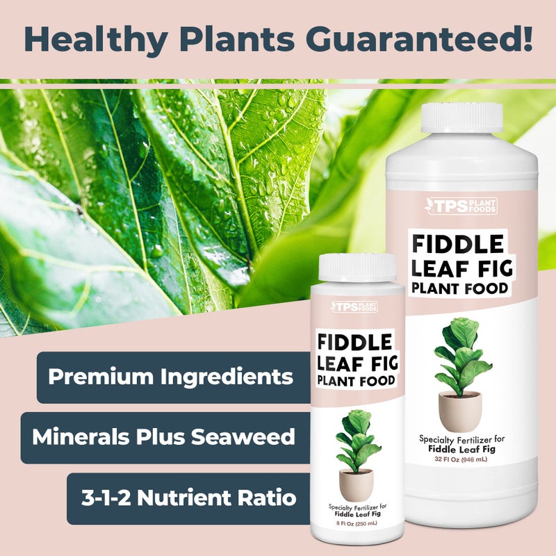 TPS NUTRIENTS Fiddle Leaf Fig Plant Food for All Fig and Other Ficus Trees, Liquid Houseplant Fertilizer 8 oz (250mL) - Image 5